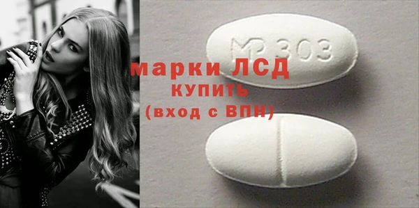 прущие грибы Верея