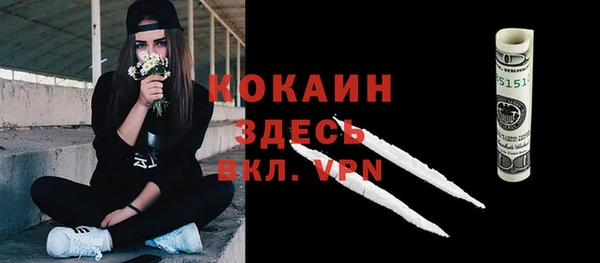 прущие грибы Верея