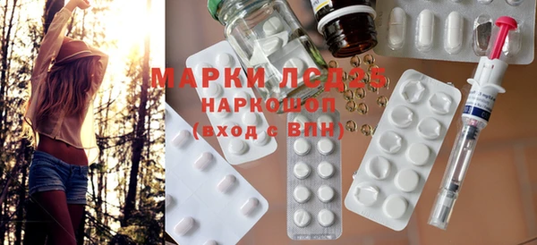 прущие грибы Верея