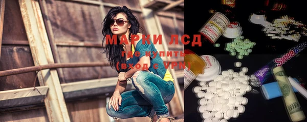 прущие грибы Верея