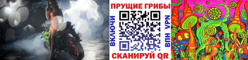 Галлюциногенные грибы Magic Shrooms  где продают наркотики  Великий Новгород 